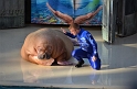 Kids_SeaWorldSA-2013 (311)